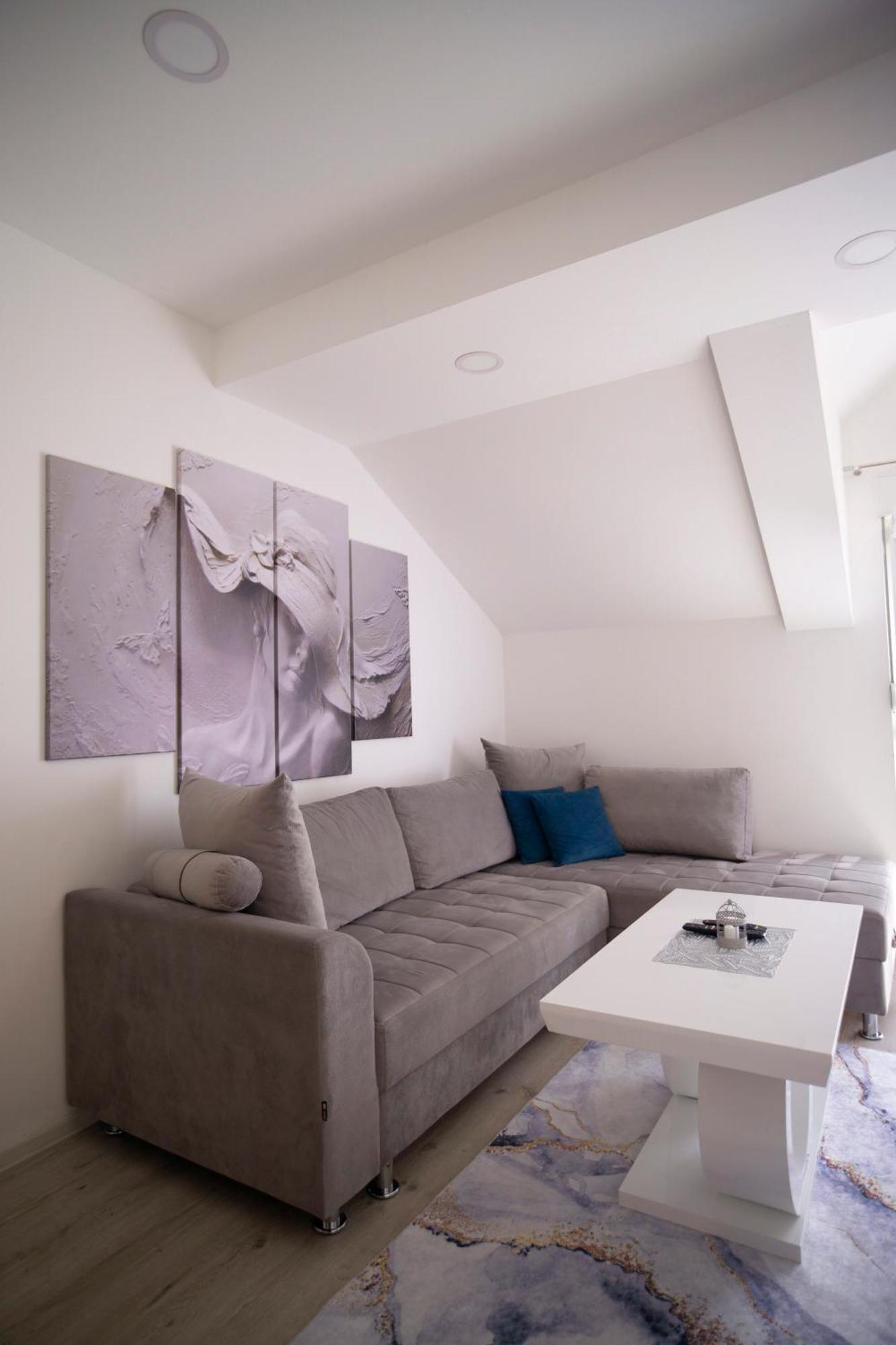 Luxury Apartments Milicevic تريبينيي المظهر الخارجي الصورة